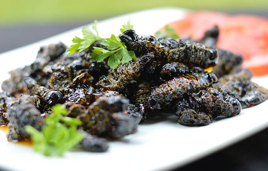 Taste of Home: Zimbabwean Cuisine & Networking Sunday Lunch – Cosmo City | Sun 3 May